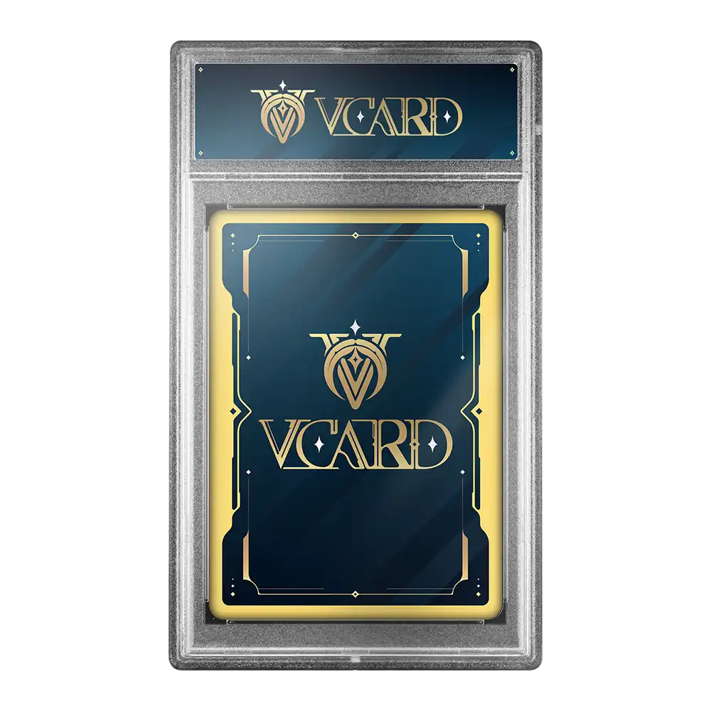 Vcard Promo Slab