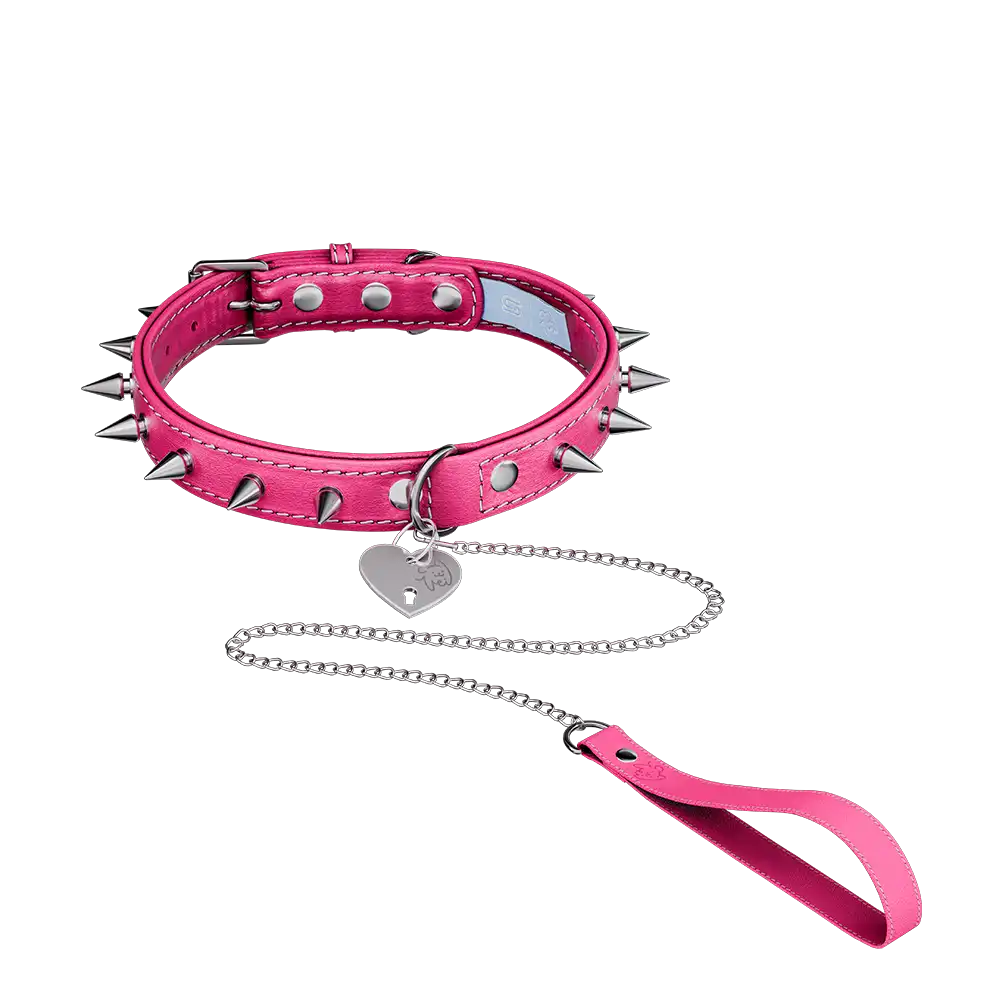 Vei: Snax Spiked Dog Collar + Leash