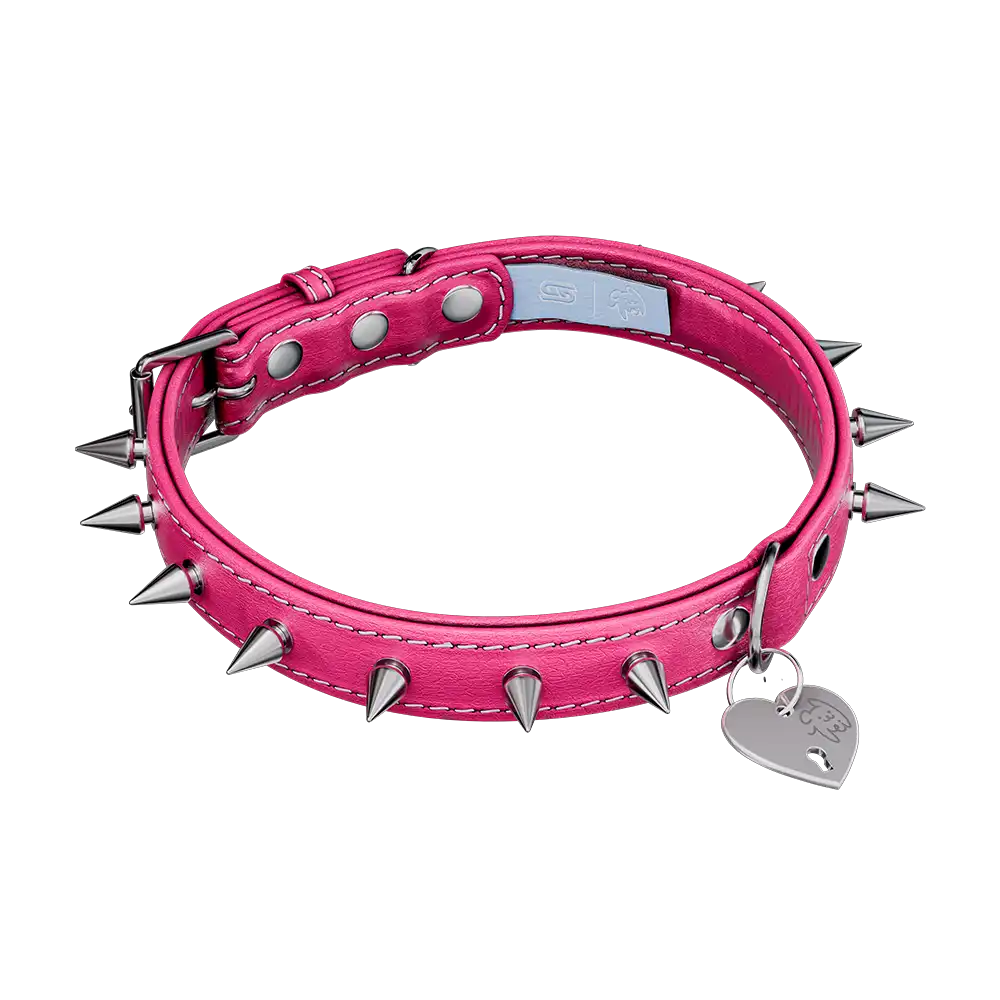 Vei: Snax Spiked Dog Collar + Leash