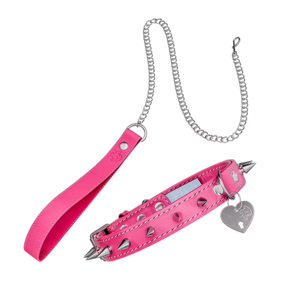 Vei: Snax Spiked Dog Collar + Leash